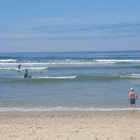 The Shore @ Baiabeach - Waterfront Holiday home *